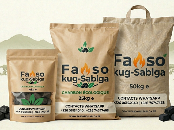 Soutenez le charbon écologique pour sauver des forêts du Burkina Faso